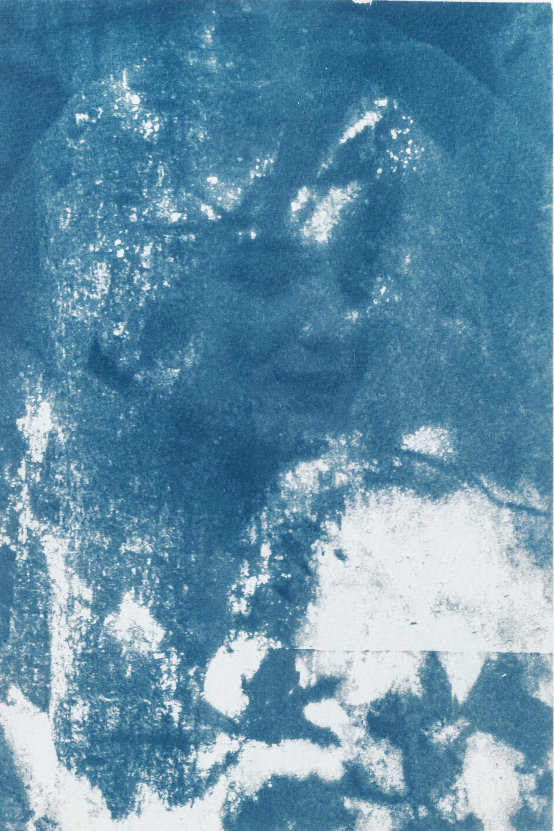 Dorothée Wycart