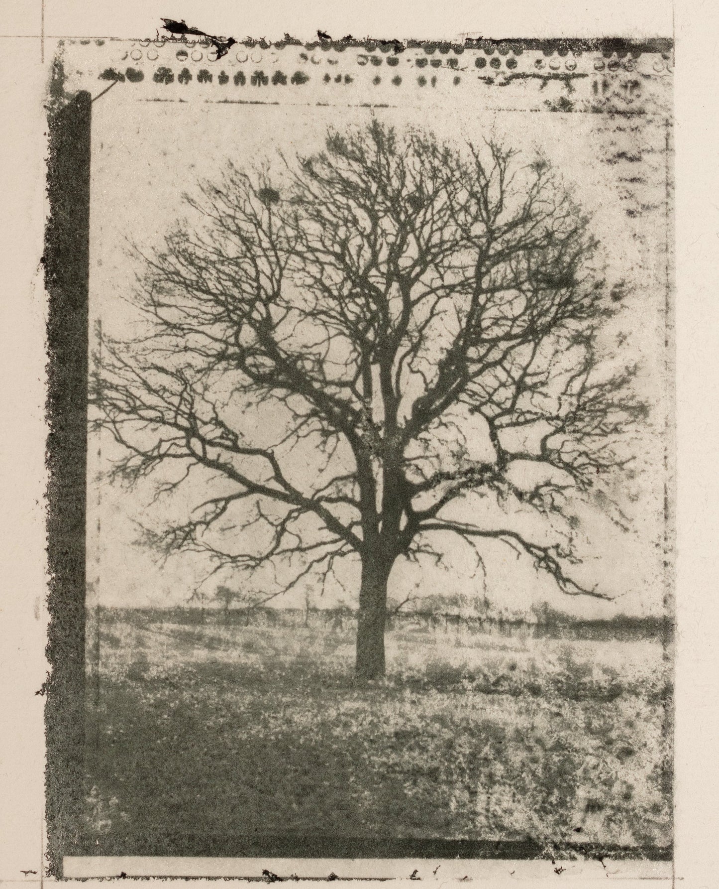 Gomme bichromatée avancée