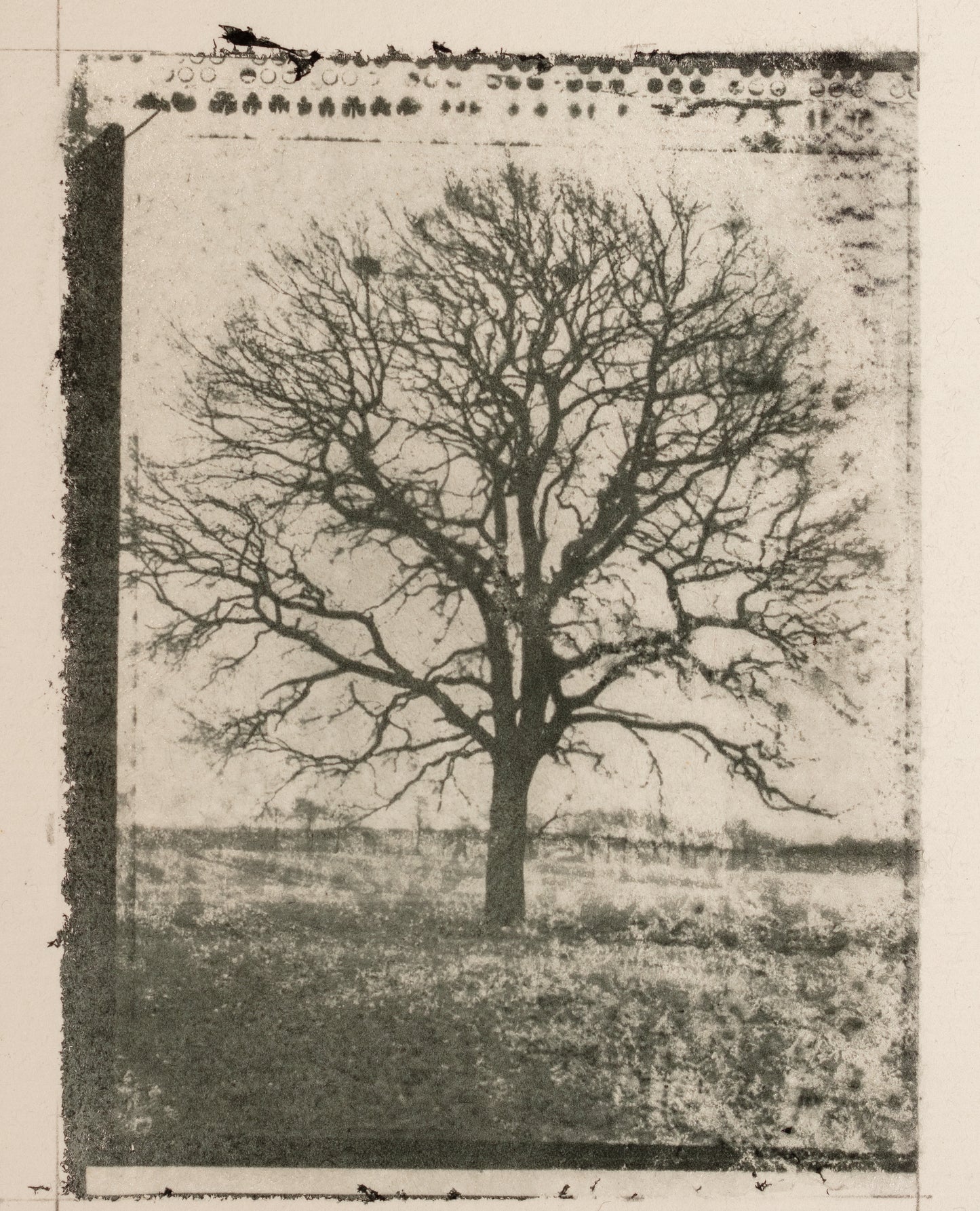 Bichromate Gum advanced