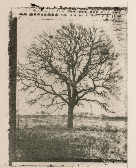 Gomme bichromatée avancée