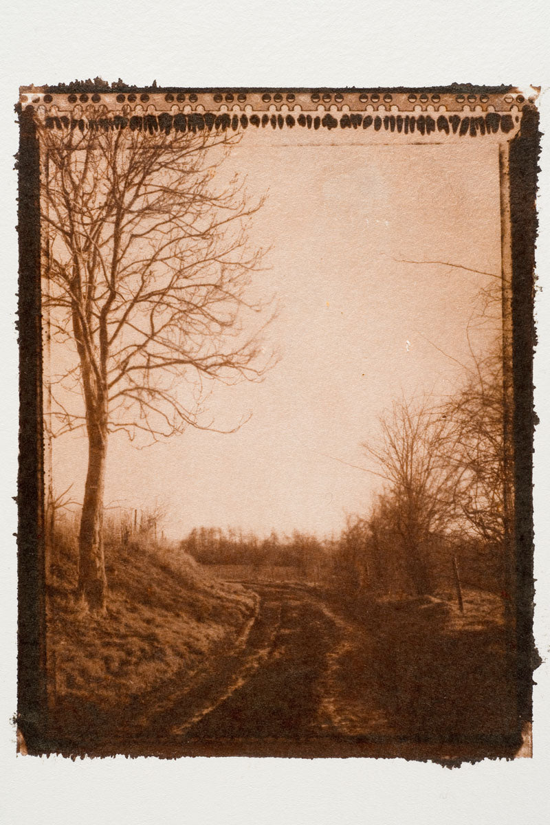 Atelier d'impression Vandijk Brown